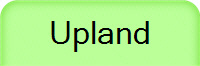 Upland